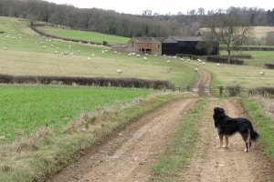 2ebdf68e-f54e-4c3d-813c-5f39e758083f